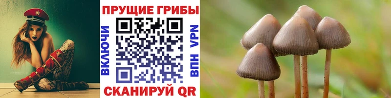 Псилоцибиновые грибы прущие грибы Завитинск