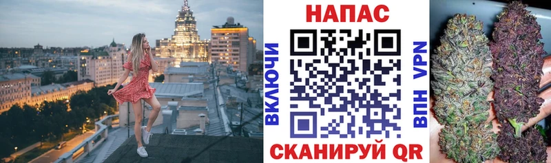 Бошки Шишки White Widow Завитинск